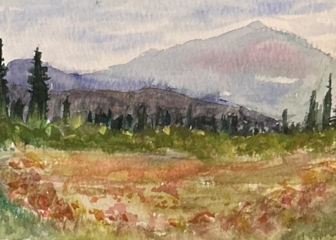 Mountain Meadow greeting card