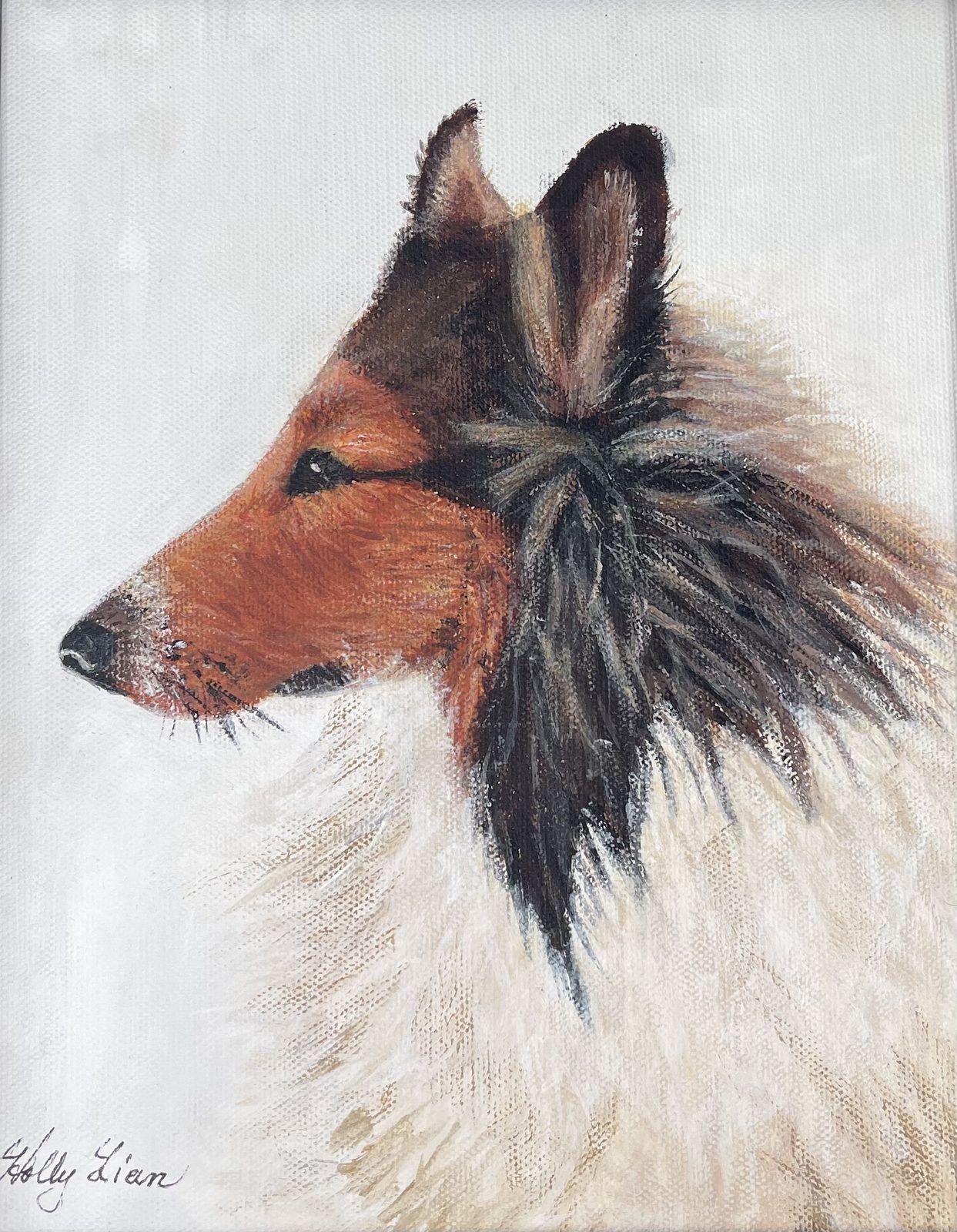 Polly the Collie, commission portrait by Holly Lian