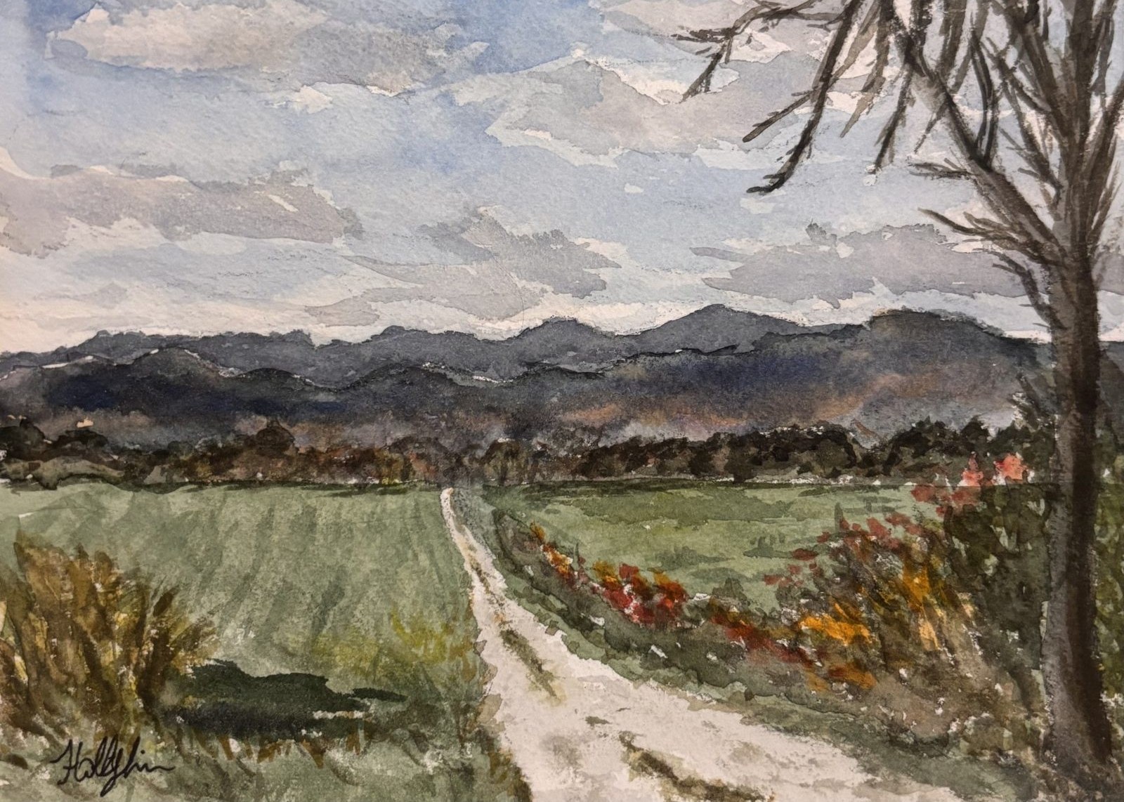 Vergennes View greeting card